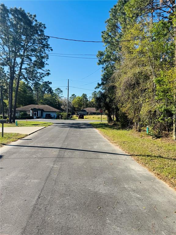 Silver Way Ocala, FL 34472 - Photo 3 of 4