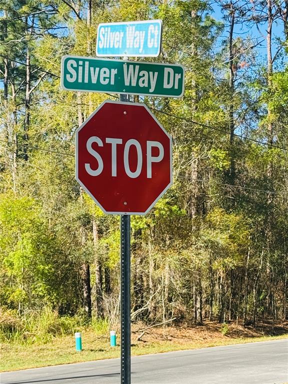 Silver Way Ocala, FL 34472 - Photo 4 of 4
