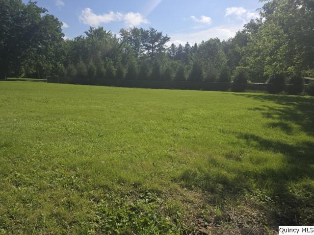 219 South 1st Street Carthage, IL 62321 - Photo 18 of 28 a view of an outdoor space and a yard