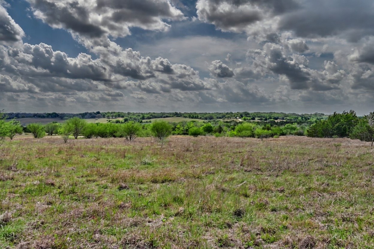 Tbd Fritsch Road La Grange, TX 78945 - Photo 14 of 23 a view of a field of grass and trees