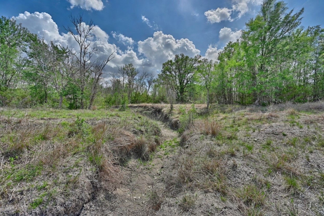 Tbd Fritsch Road La Grange, TX 78945 - Photo 15 of 23 a view of a field with trees in the background