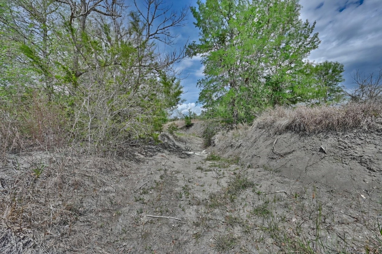 Tbd Fritsch Road La Grange, TX 78945 - Photo 16 of 23 a view of a forest with a tree
