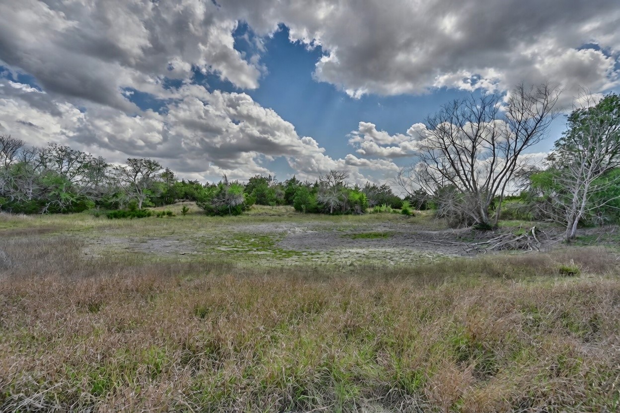 Tbd Fritsch Road La Grange, TX 78945 - Photo 18 of 23 a view of a field with trees