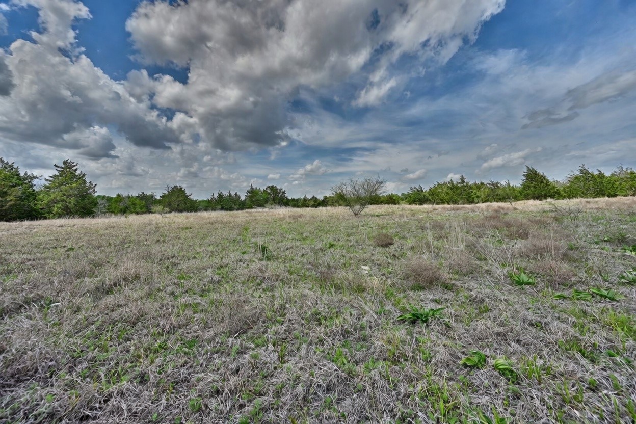 Tbd Fritsch Road La Grange, TX 78945 - Photo 19 of 23 a view of a field and trees