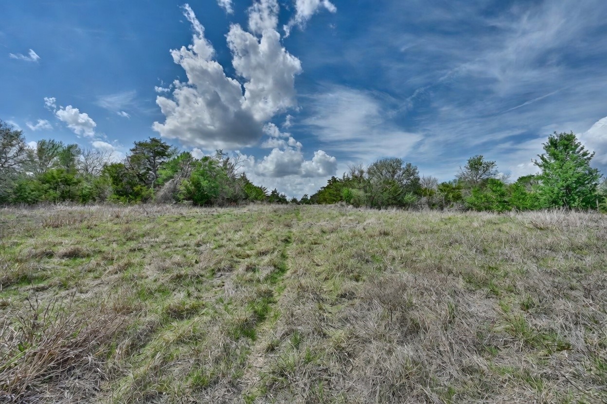 Tbd Fritsch Road La Grange, TX 78945 - Photo 22 of 23 a view of a big yard with plants and large trees