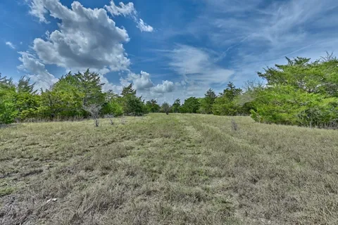 a view of a field