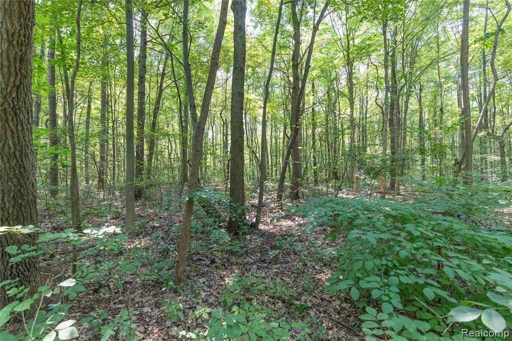 14405 Rawsonville Road Willis, MI 48191 - Photo 28 of 40 Gallery Image 28