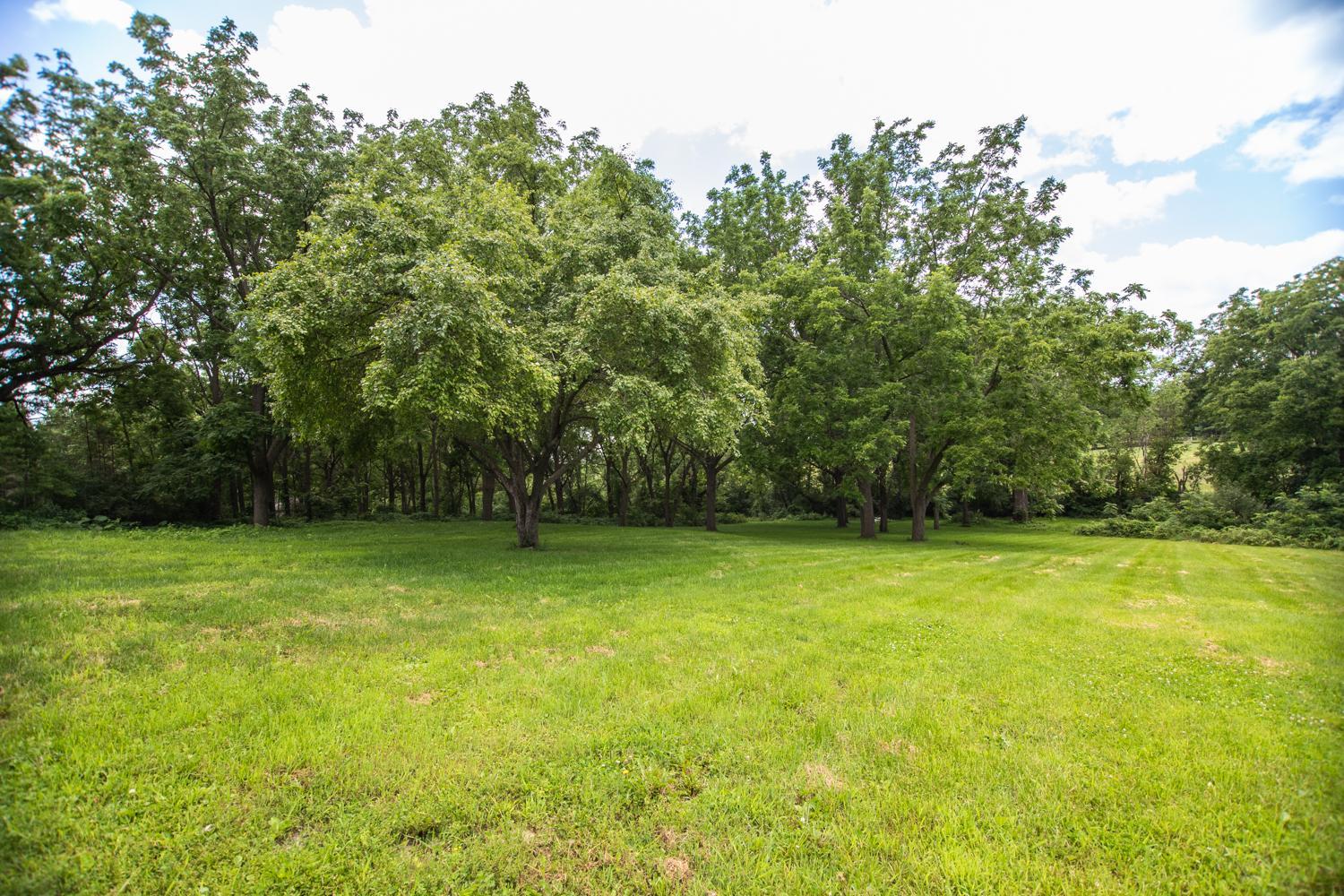 1008 South Washington Avenue Spring Valley, MN 55975 - Photo 48 of 74 Gallery Image 48
