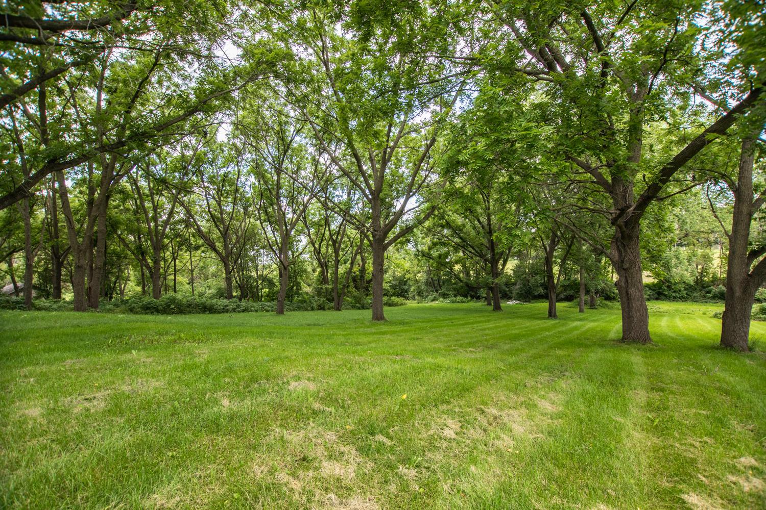 1008 South Washington Avenue Spring Valley, MN 55975 - Photo 51 of 74 Gallery Image 51