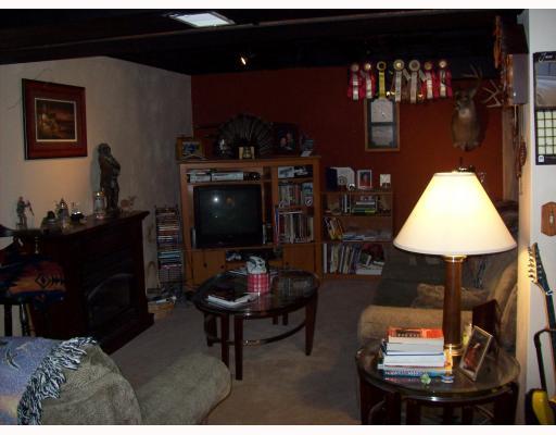 867 Blue Ridge Drive Plum, PA 15239 - Photo 7 of 13 Den/Family/Great Room. LOWER LEVEL GAMEROOM WITH FIREPLACE.