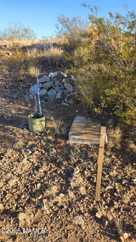 a view of a yard with wooden fence