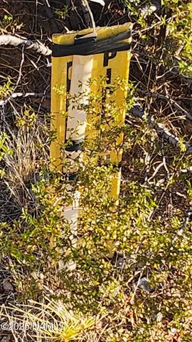 a view of swimming pool