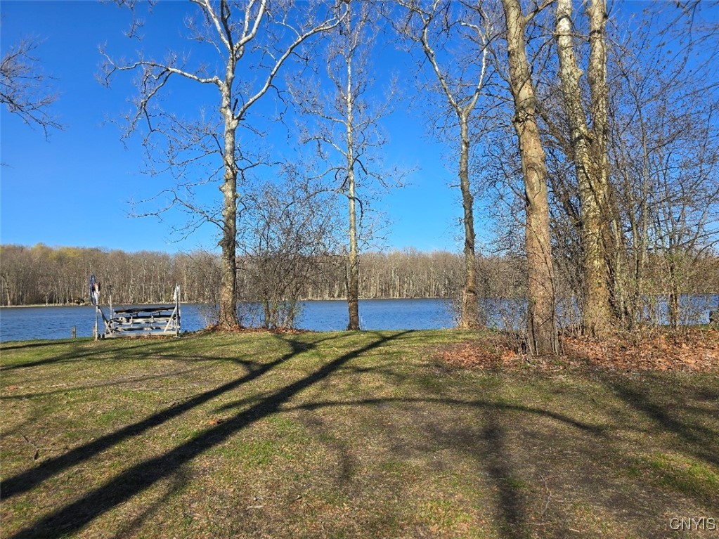 594 Wapoos Path Elbridge, NY 13080 - Photo 42 of 50