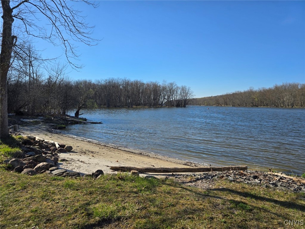 594 Wapoos Path Elbridge, NY 13080 - Photo 43 of 50