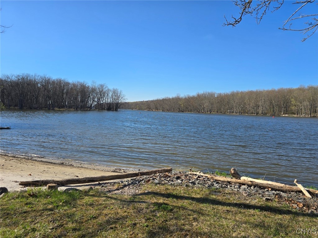 594 Wapoos Path Elbridge, NY 13080 - Photo 44 of 50