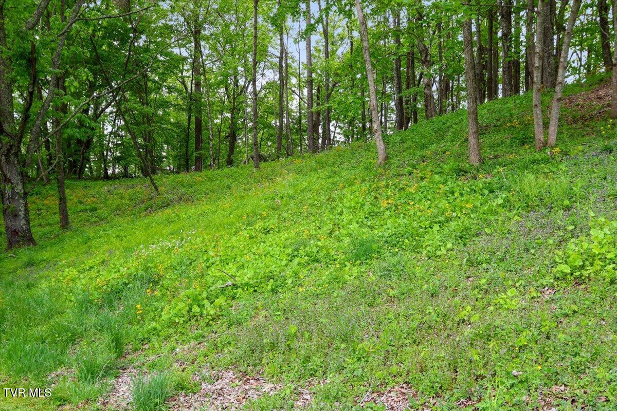 809 Ragan Road Trade, TN 37691 - Photo 32 of 42 32-IMG_7678