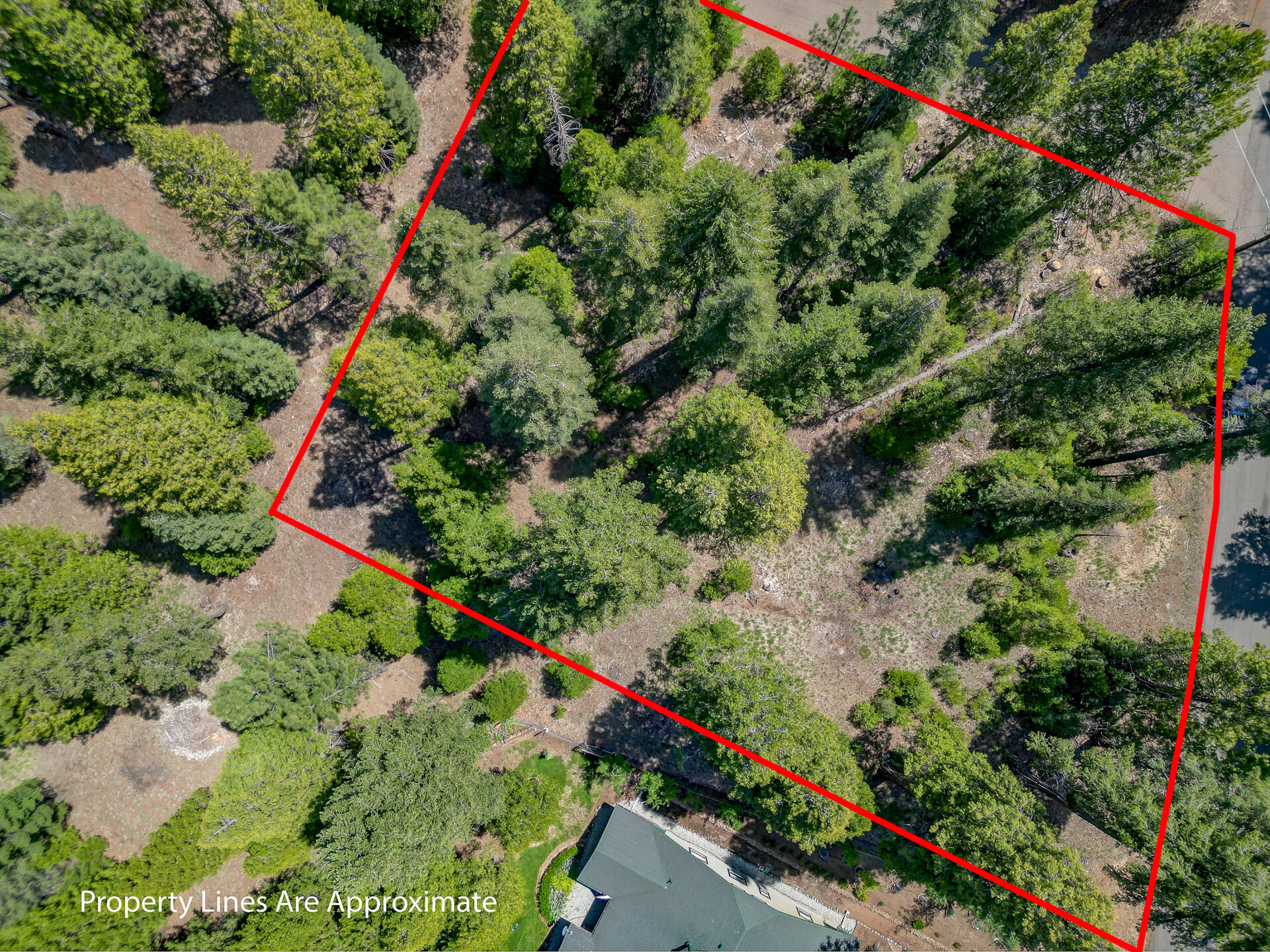 an aerial view of a yard