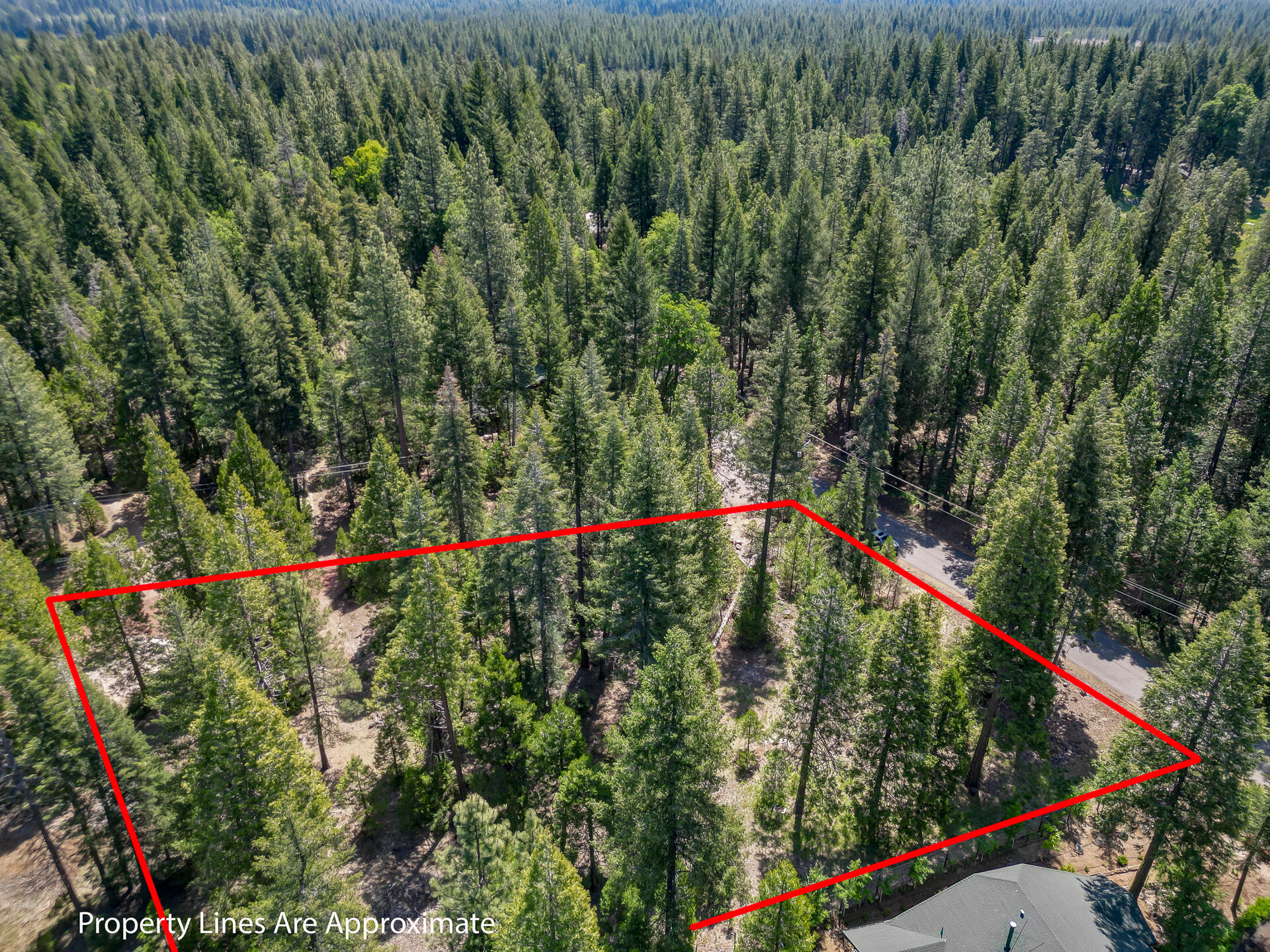 Mountain Meadow Road Shingletown, CA 96088 - Photo 2 of 8 a view of small yard