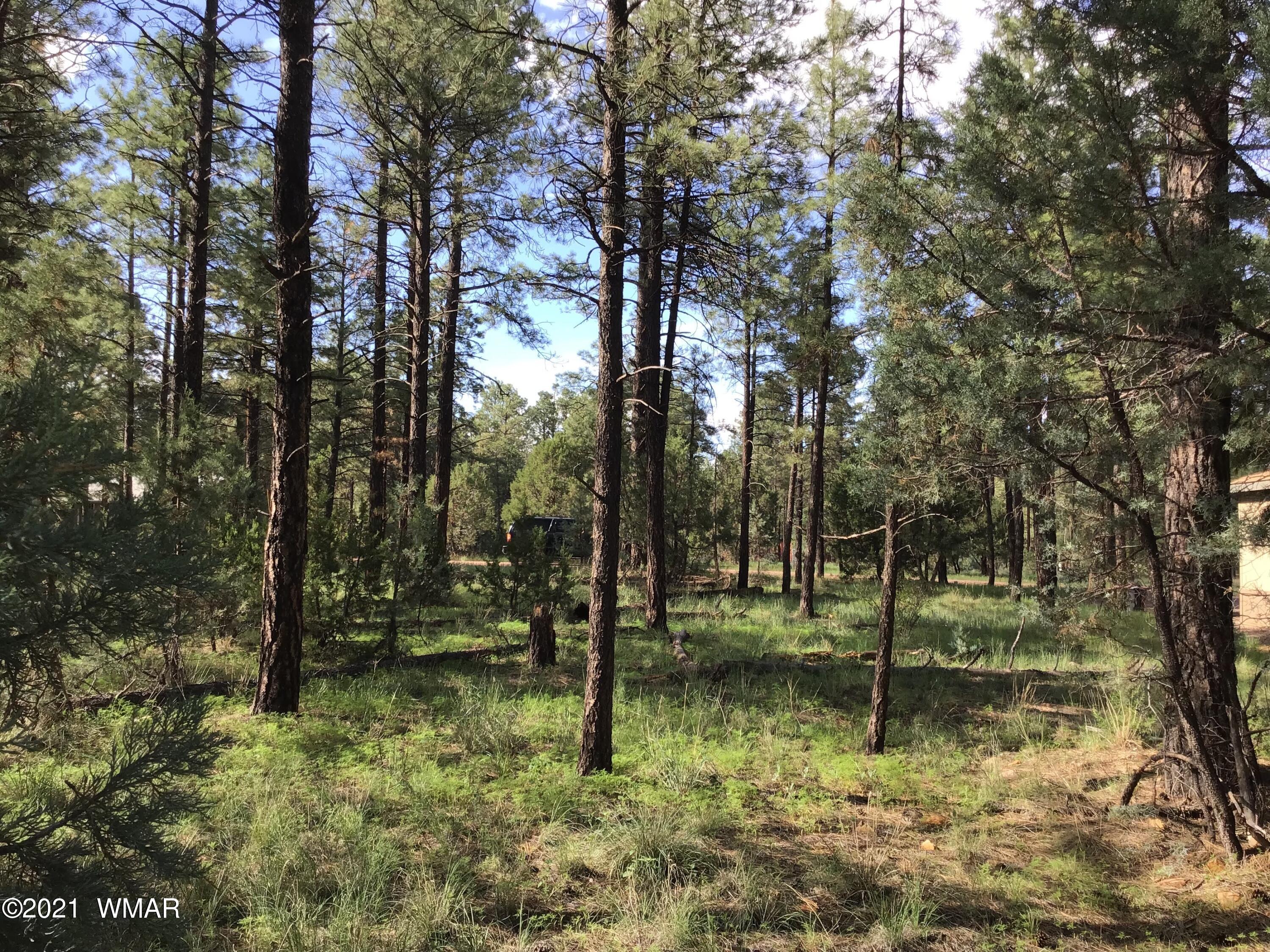 2159 Wildflower Road Overgaard, AZ 85933 - Photo 1 of 30 a backyard of a house with lots of green space