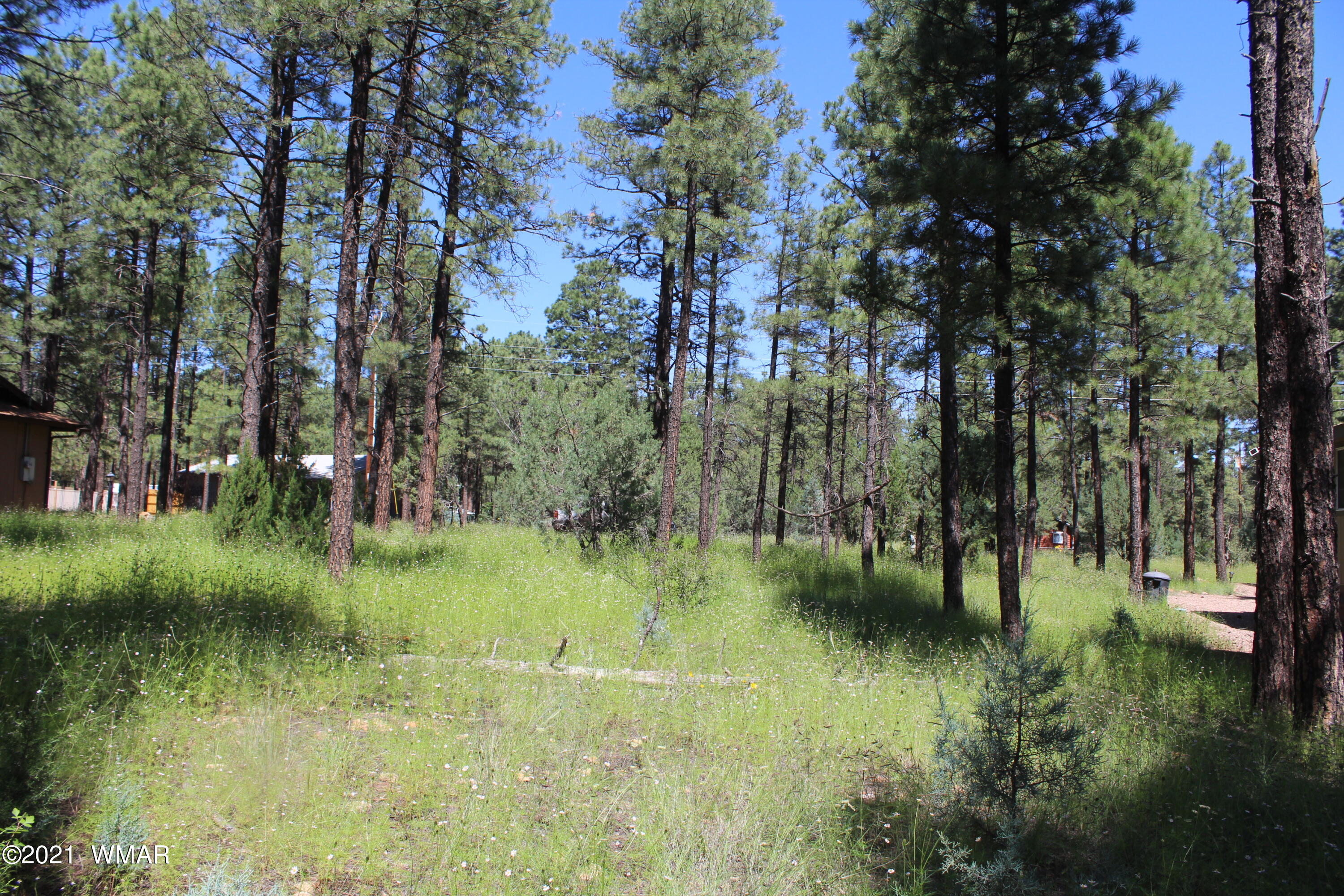 2159 Wildflower Road Overgaard, AZ 85933 - Photo 12 of 30 a view of river covered by trees and trees