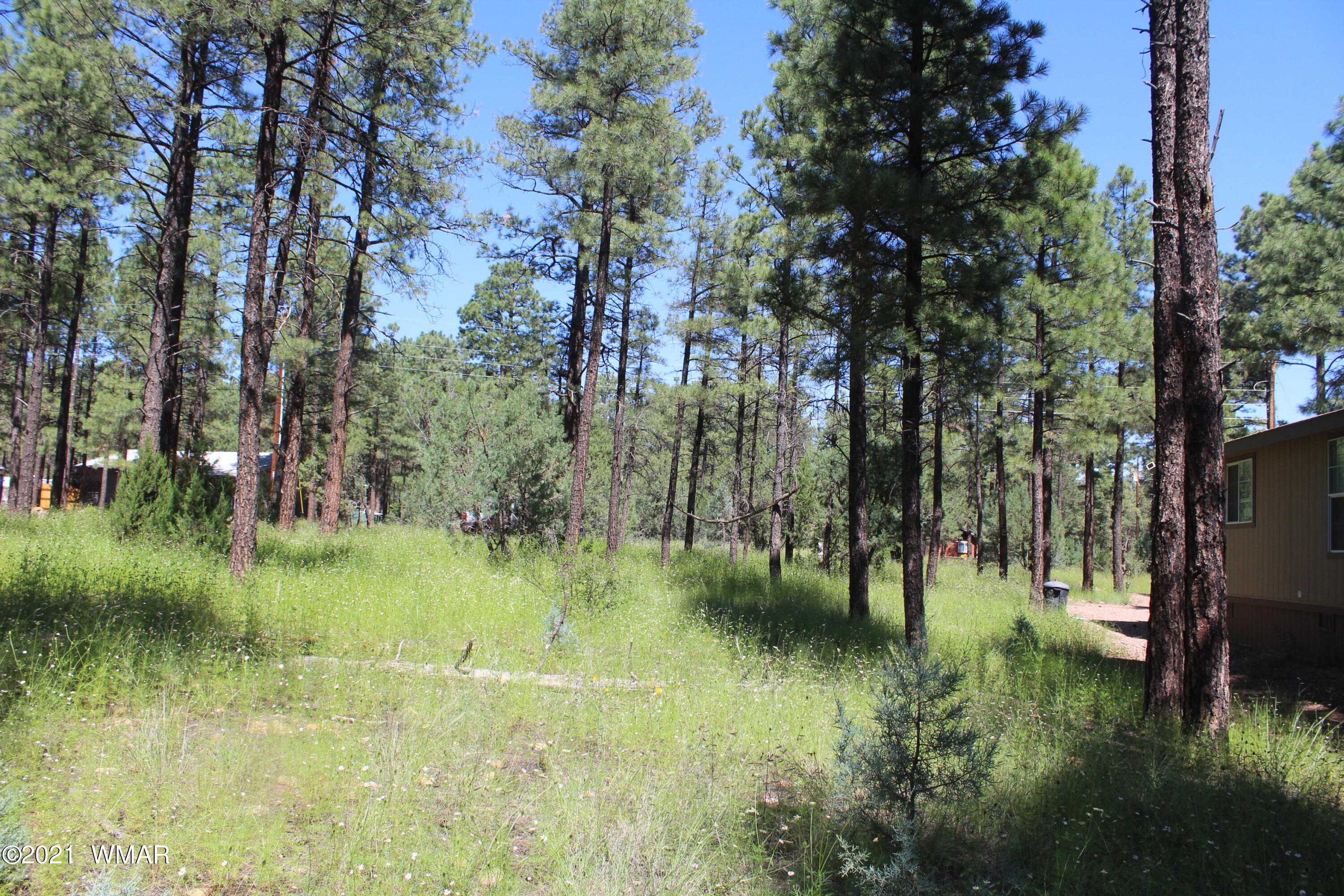 2159 Wildflower Road Overgaard, AZ 85933 - Photo 13 of 30 a view of lake view with lots of trees