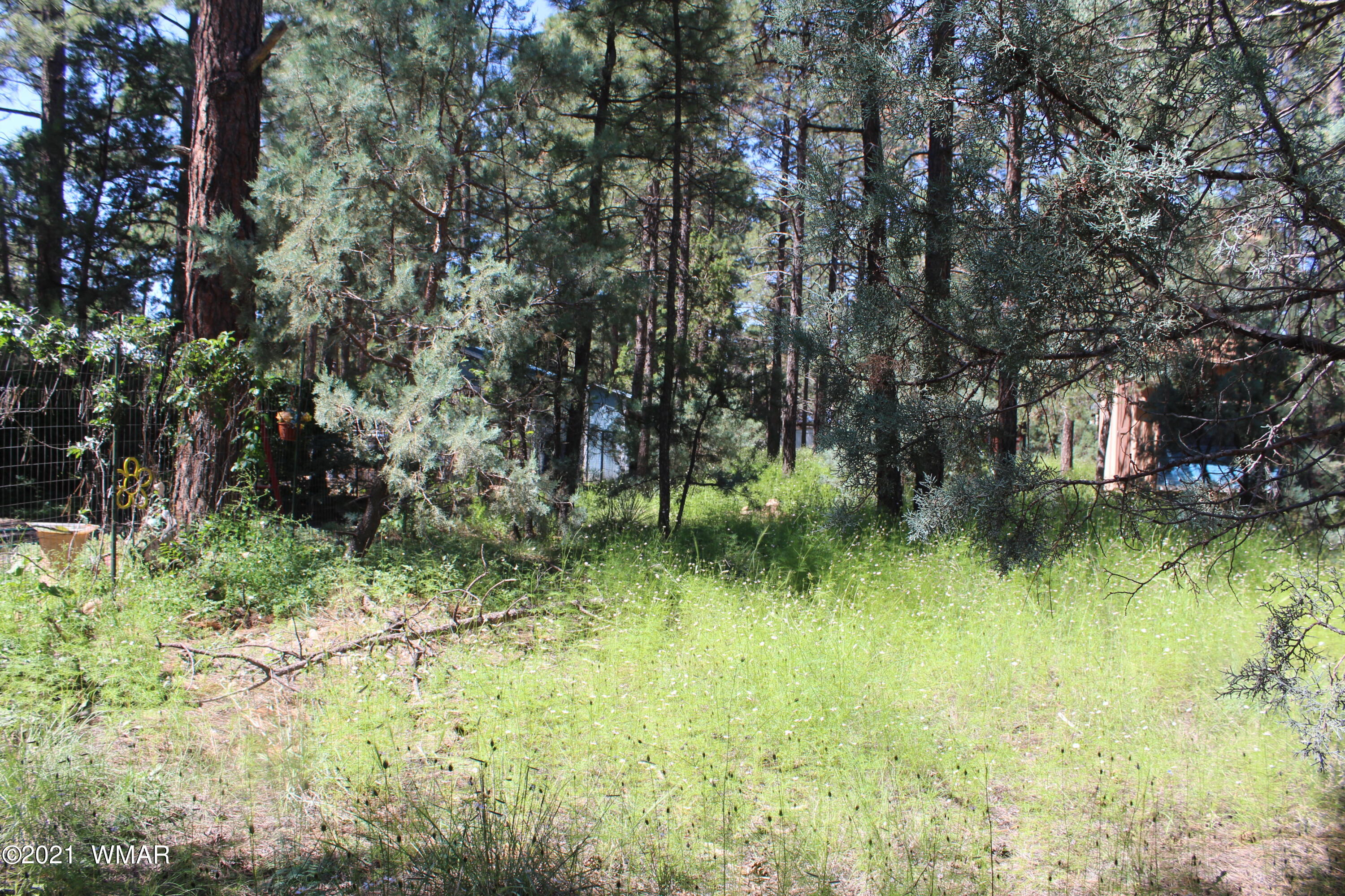2159 Wildflower Road Overgaard, AZ 85933 - Photo 14 of 30 a view of lake