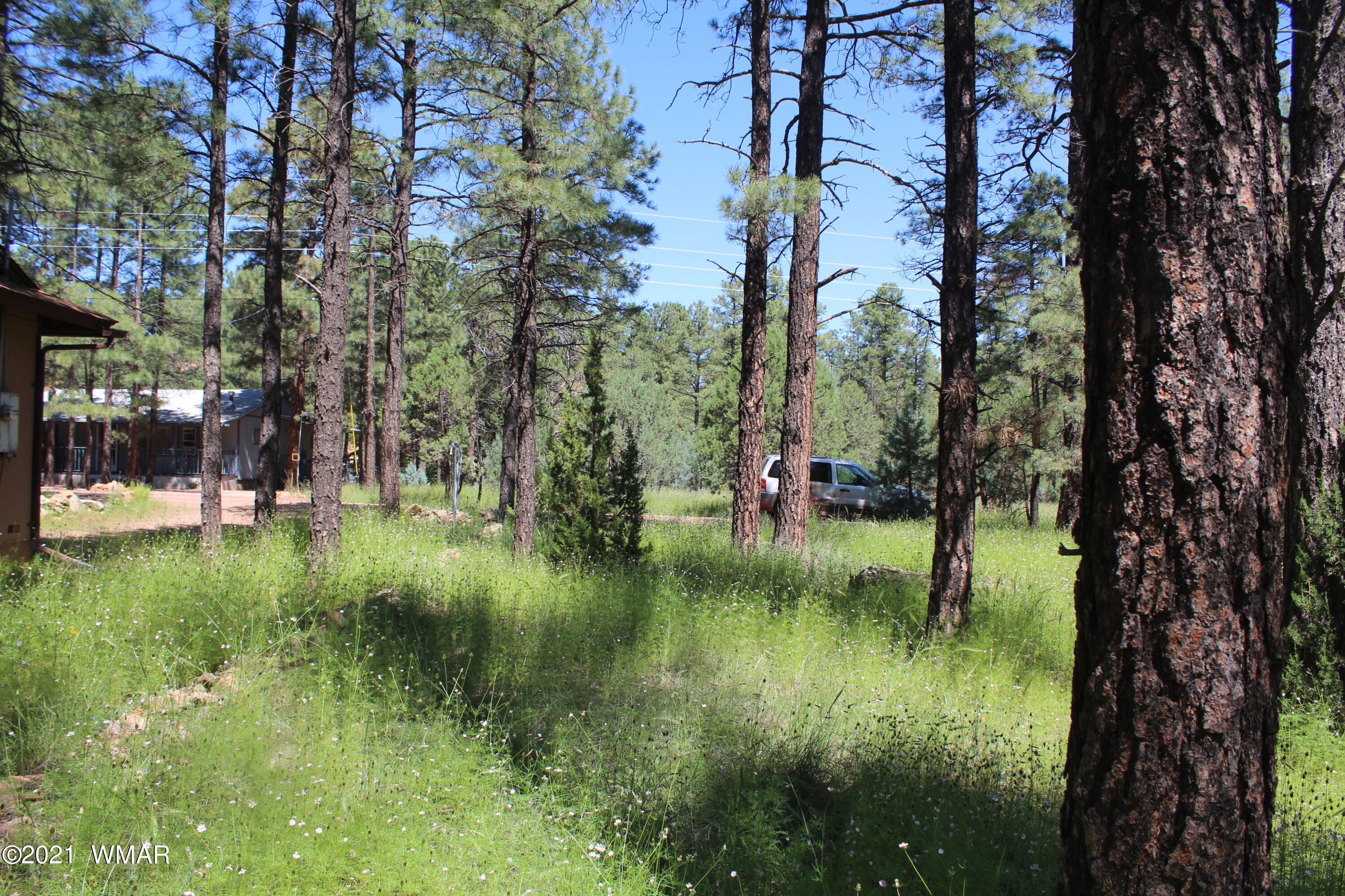 2159 Wildflower Road Overgaard, AZ 85933 - Photo 18 of 30 a view of a lake view