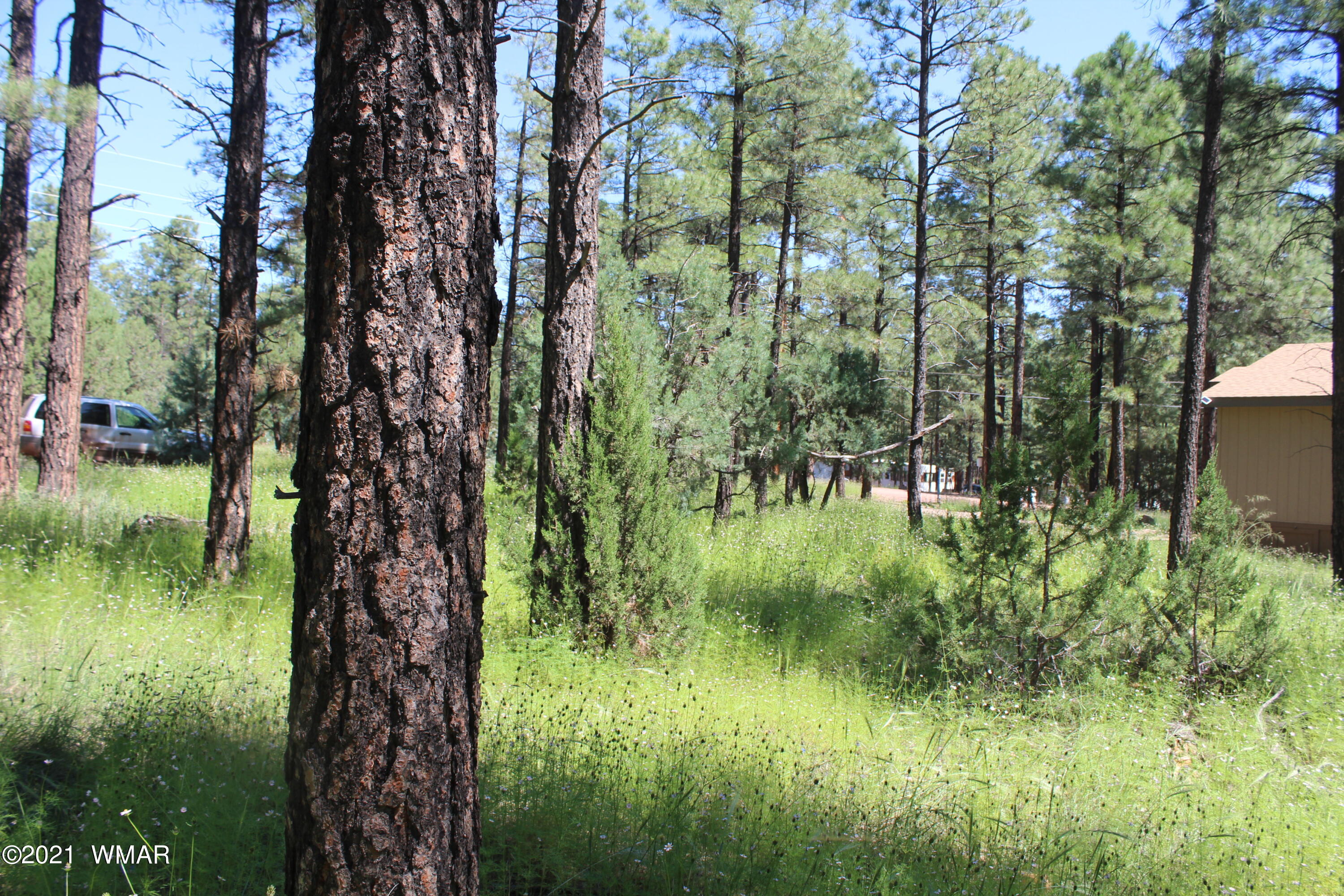 2159 Wildflower Road Overgaard, AZ 85933 - Photo 19 of 30 a view of a lake with a house in a yard