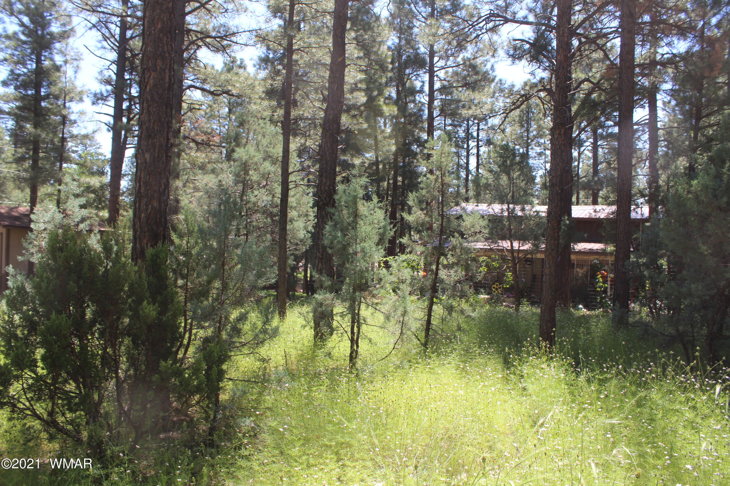 2159 Wildflower Road Overgaard, AZ 85933 - Photo 20 of 30 a view of lake view