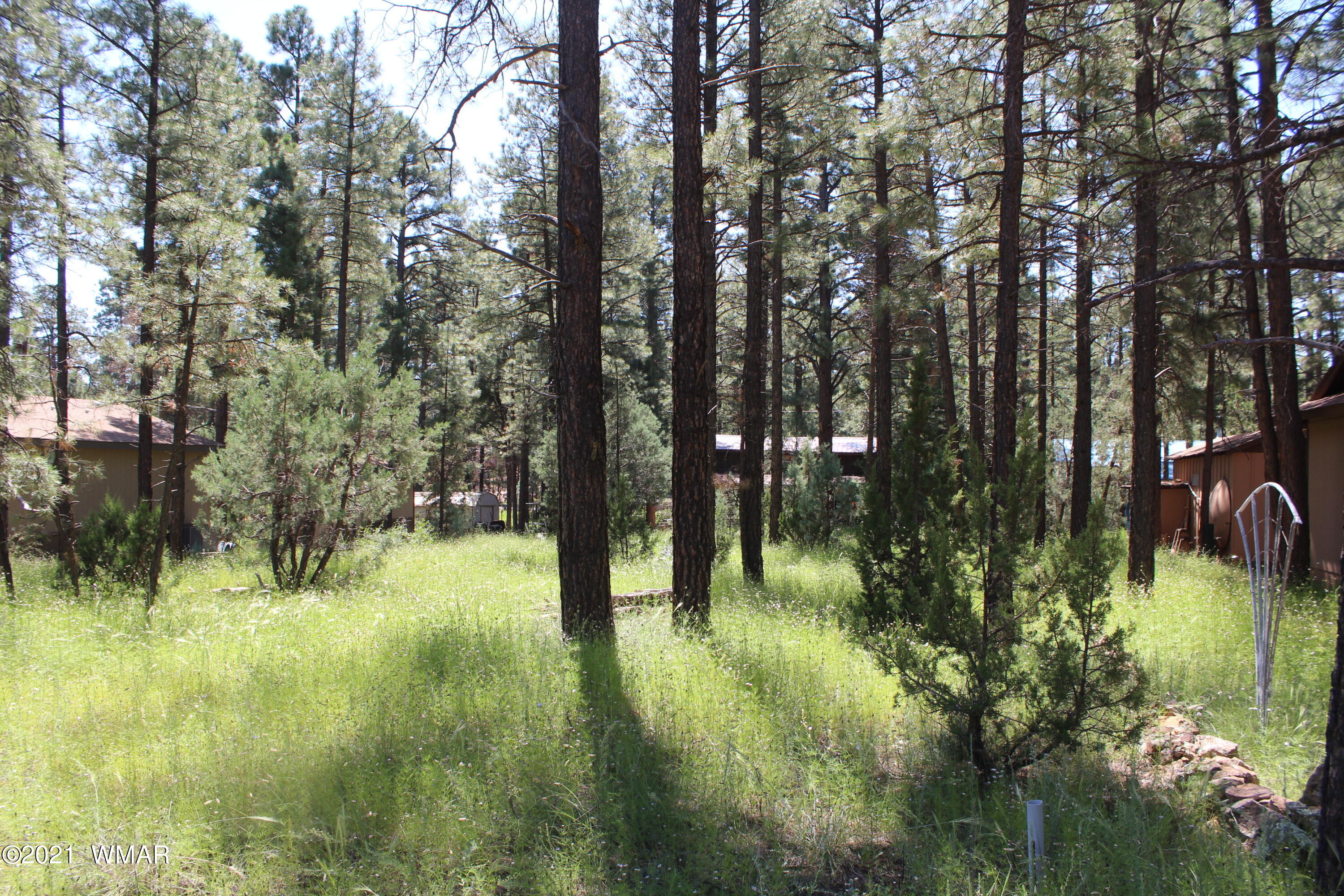 2159 Wildflower Road Overgaard, AZ 85933 - Photo 2 of 30 a view of swimming pool from a yard