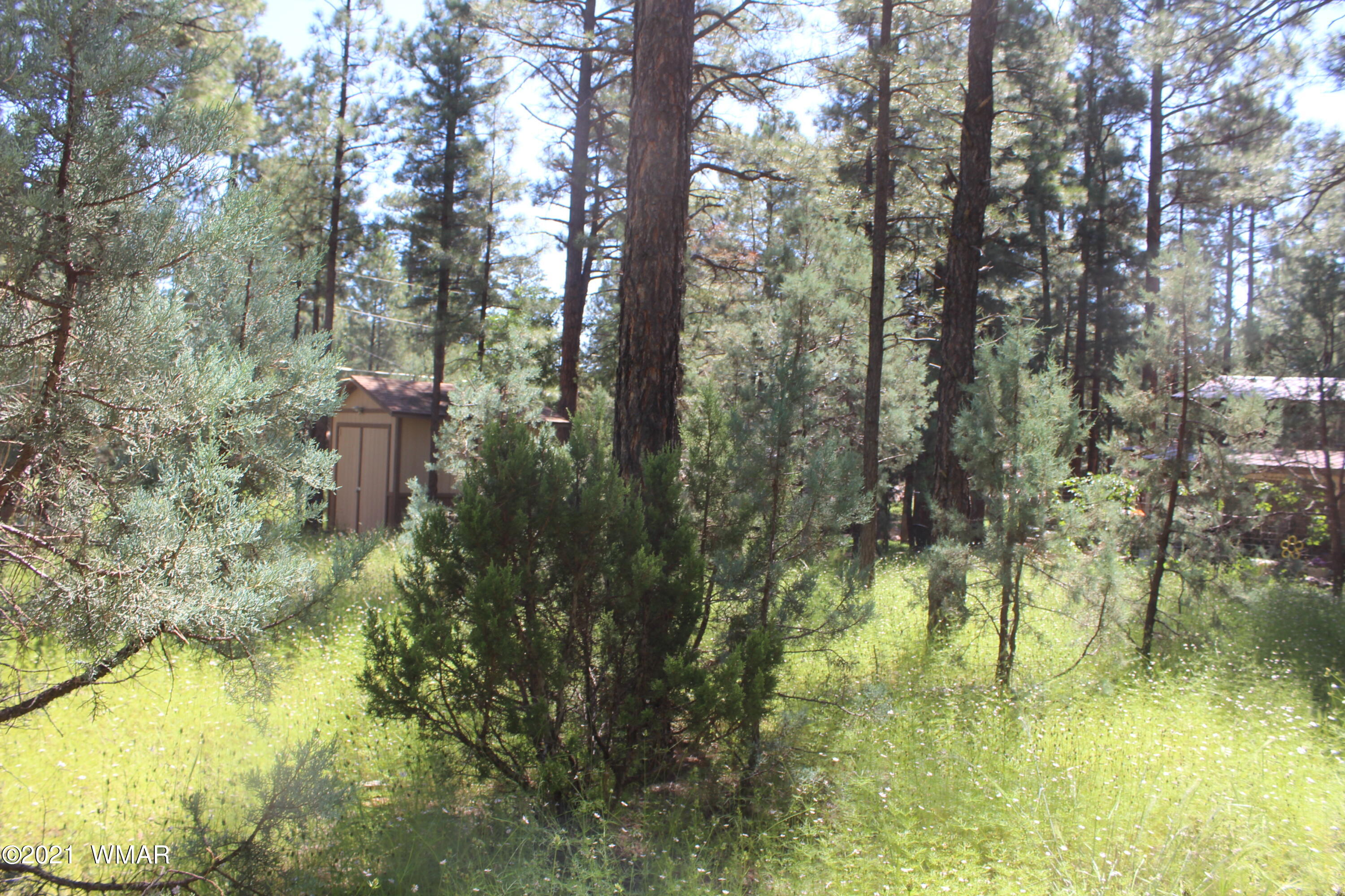 2159 Wildflower Road Overgaard, AZ 85933 - Photo 21 of 30 a view of lake view