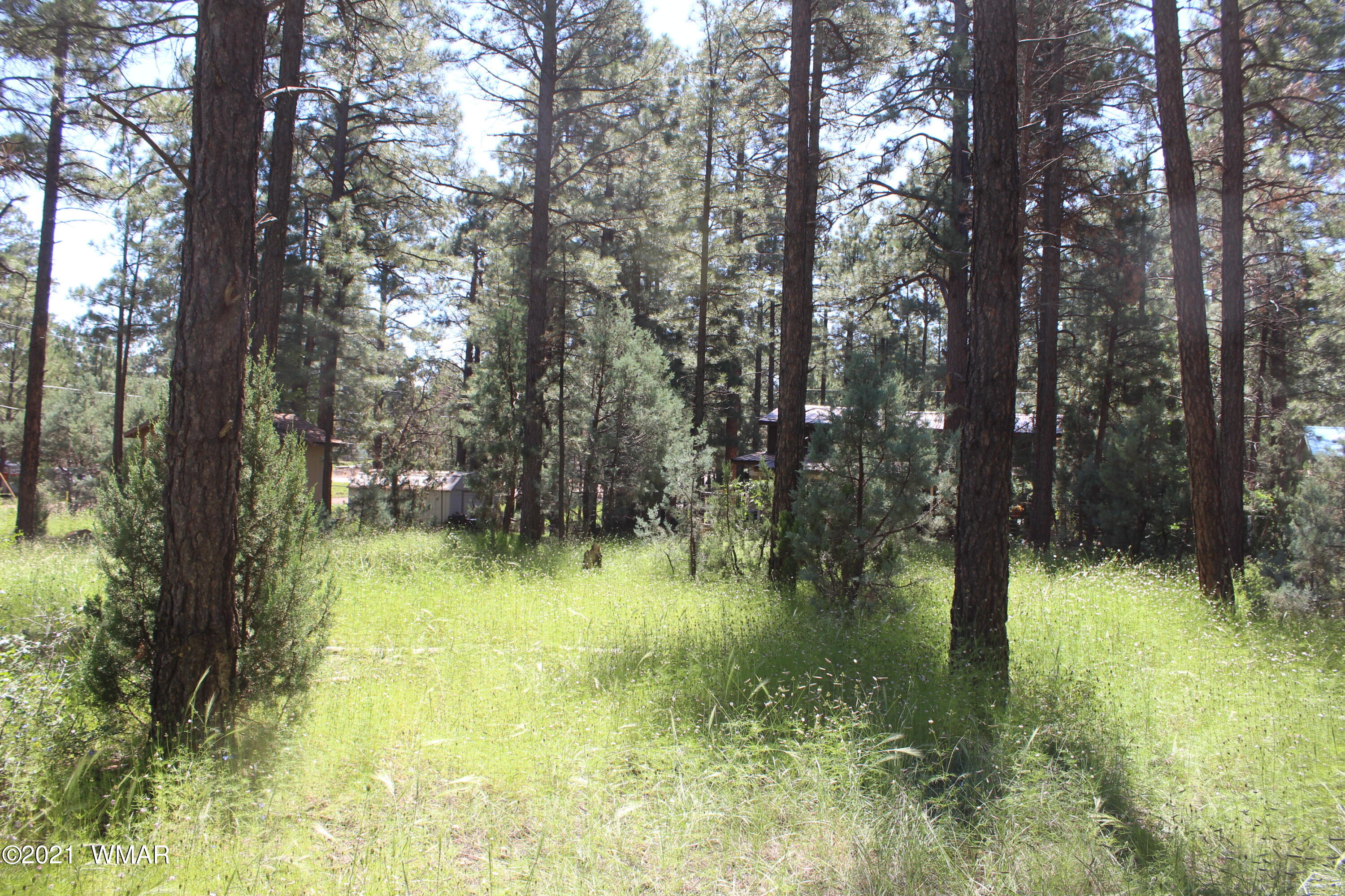 2159 Wildflower Road Overgaard, AZ 85933 - Photo 23 of 30 a view of lake view