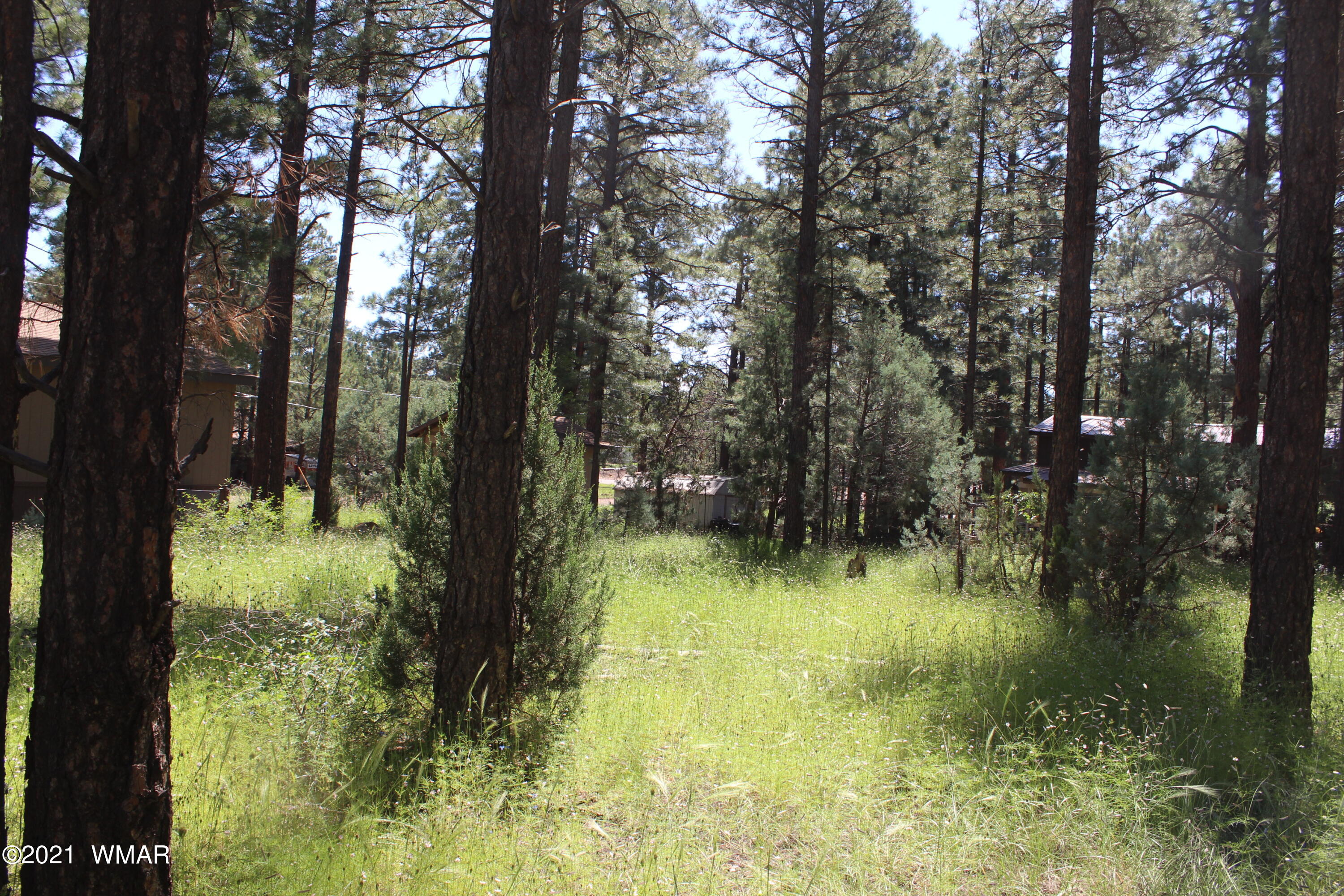 2159 Wildflower Road Overgaard, AZ 85933 - Photo 24 of 30 a view of lake with green space