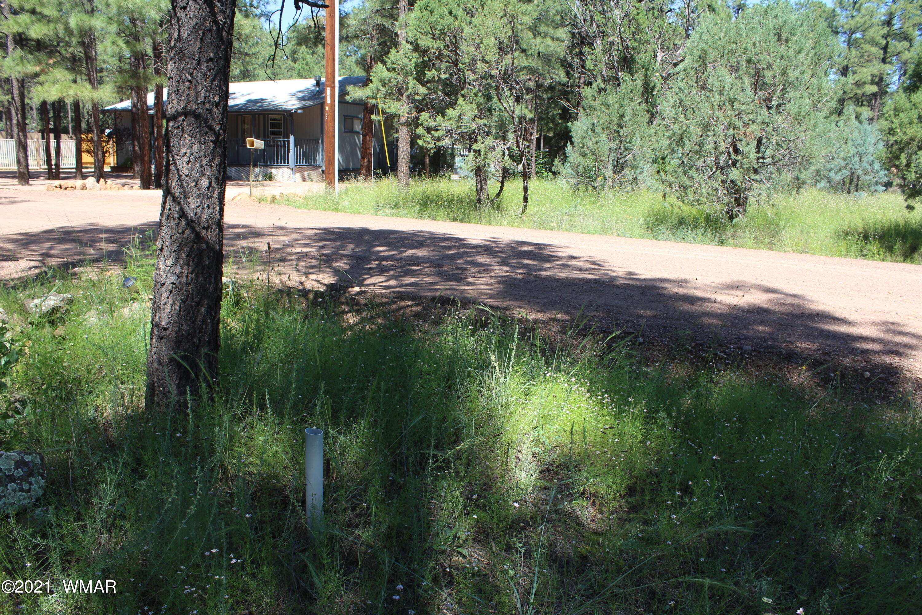 2159 Wildflower Road Overgaard, AZ 85933 - Photo 25 of 30 a view of a yard with a tree