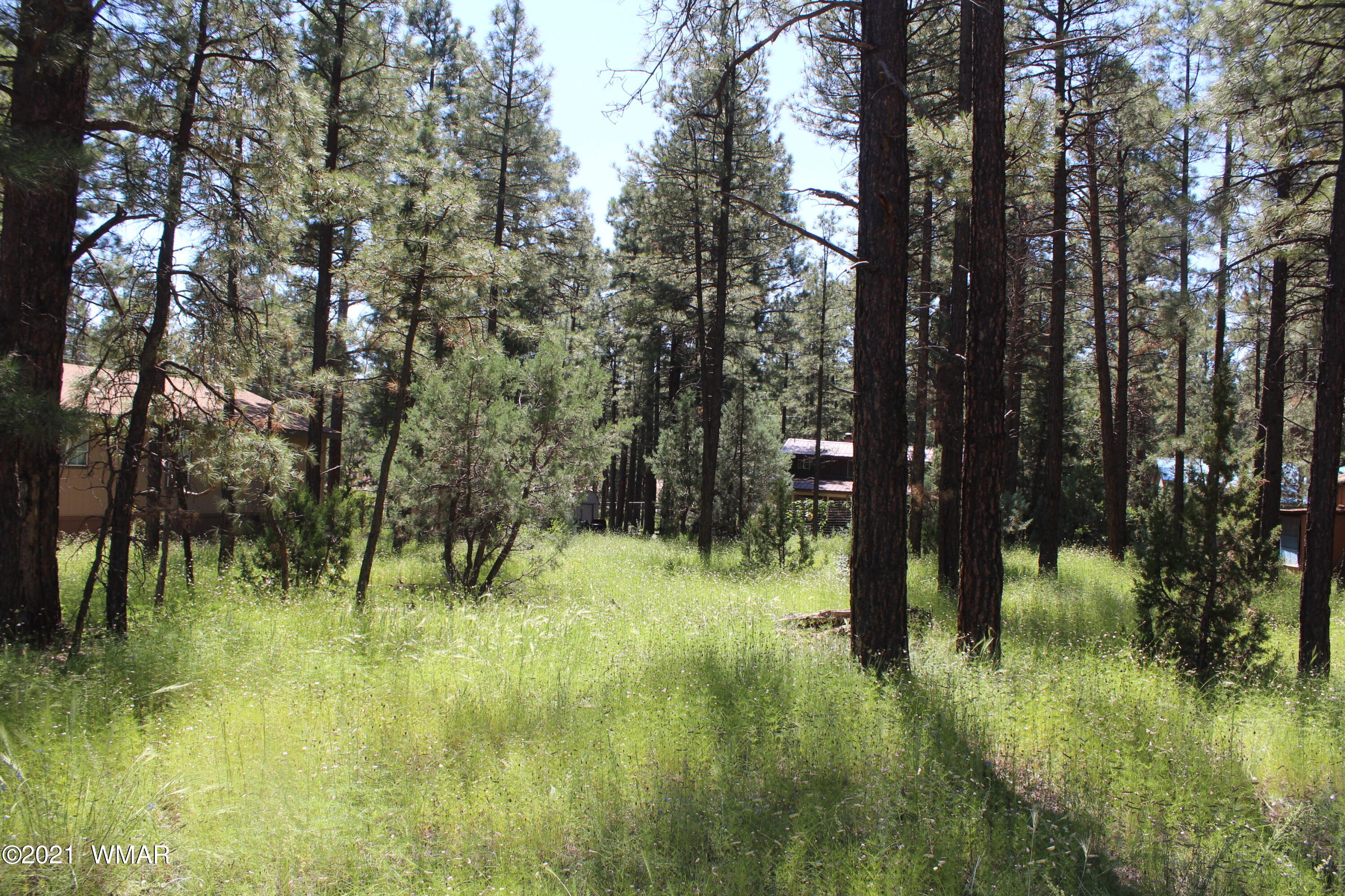 2159 Wildflower Road Overgaard, AZ 85933 - Photo 26 of 30 a view of lake view and trees