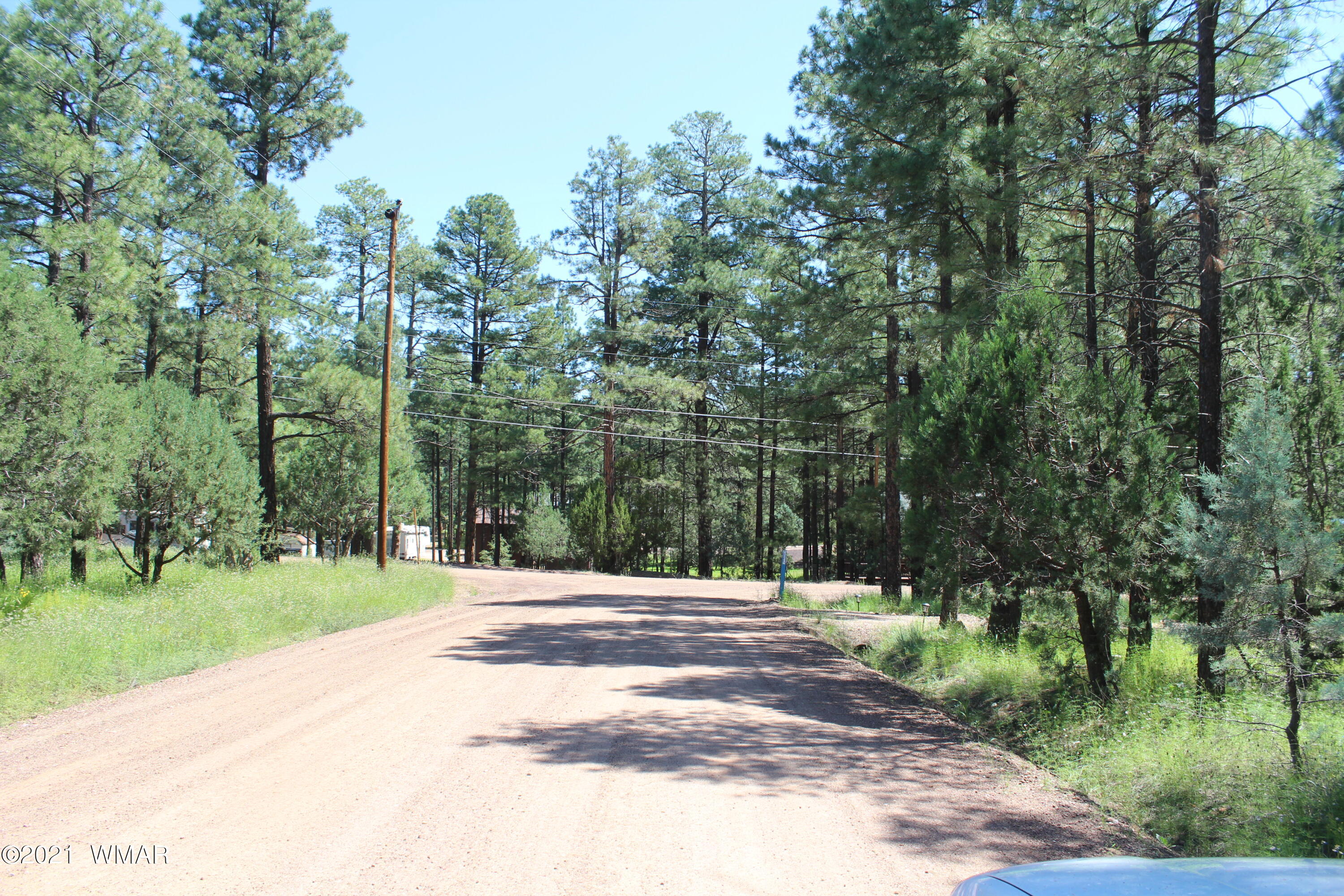 2159 Wildflower Road Overgaard, AZ 85933 - Photo 29 of 30 a view of a park with large trees