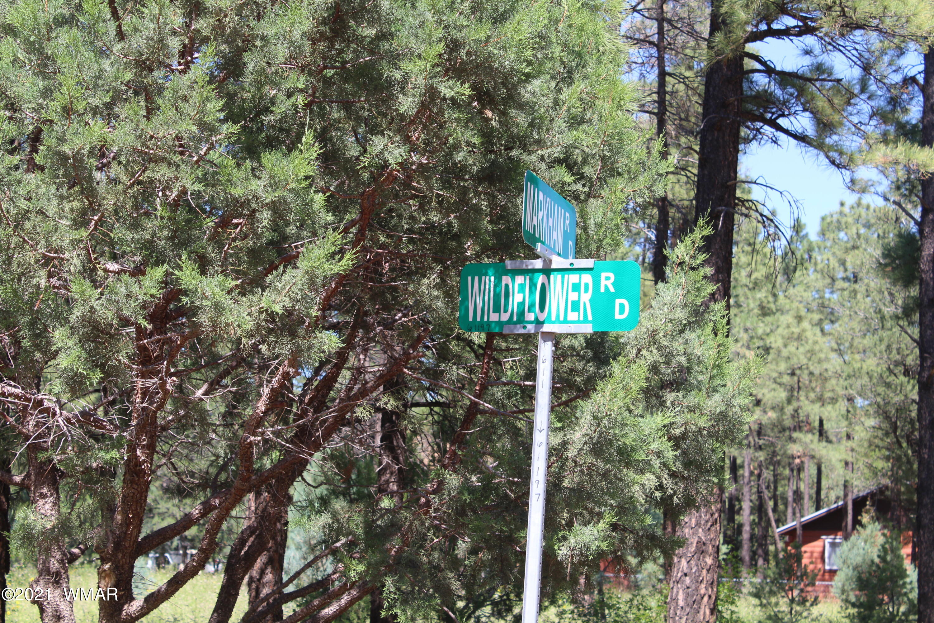2159 Wildflower Road Overgaard, AZ 85933 - Photo 30 of 30 a street sign on a pole