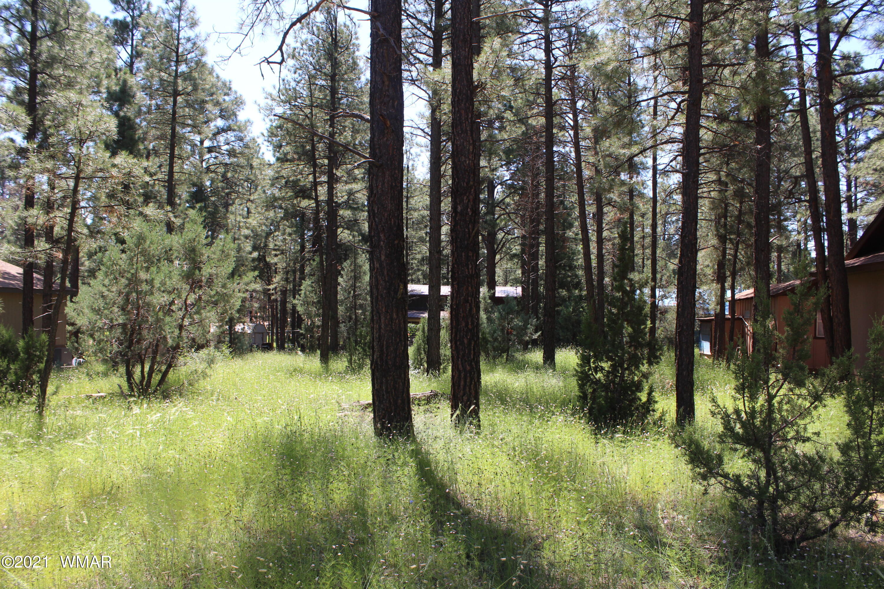 2159 Wildflower Road Overgaard, AZ 85933 - Photo 4 of 30 a view of swimming pool from a yard