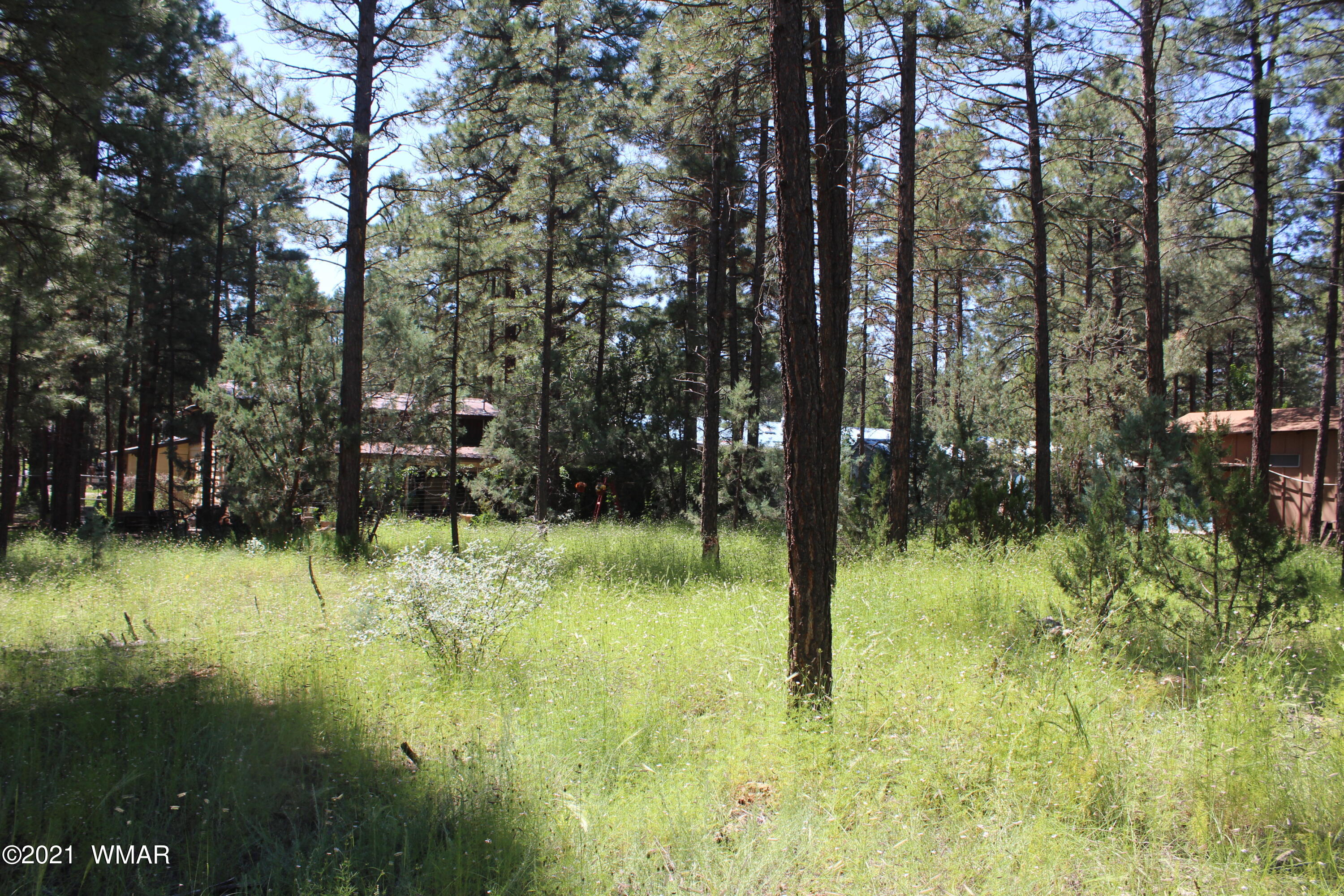 2159 Wildflower Road Overgaard, AZ 85933 - Photo 8 of 30 a view of backyard with green space