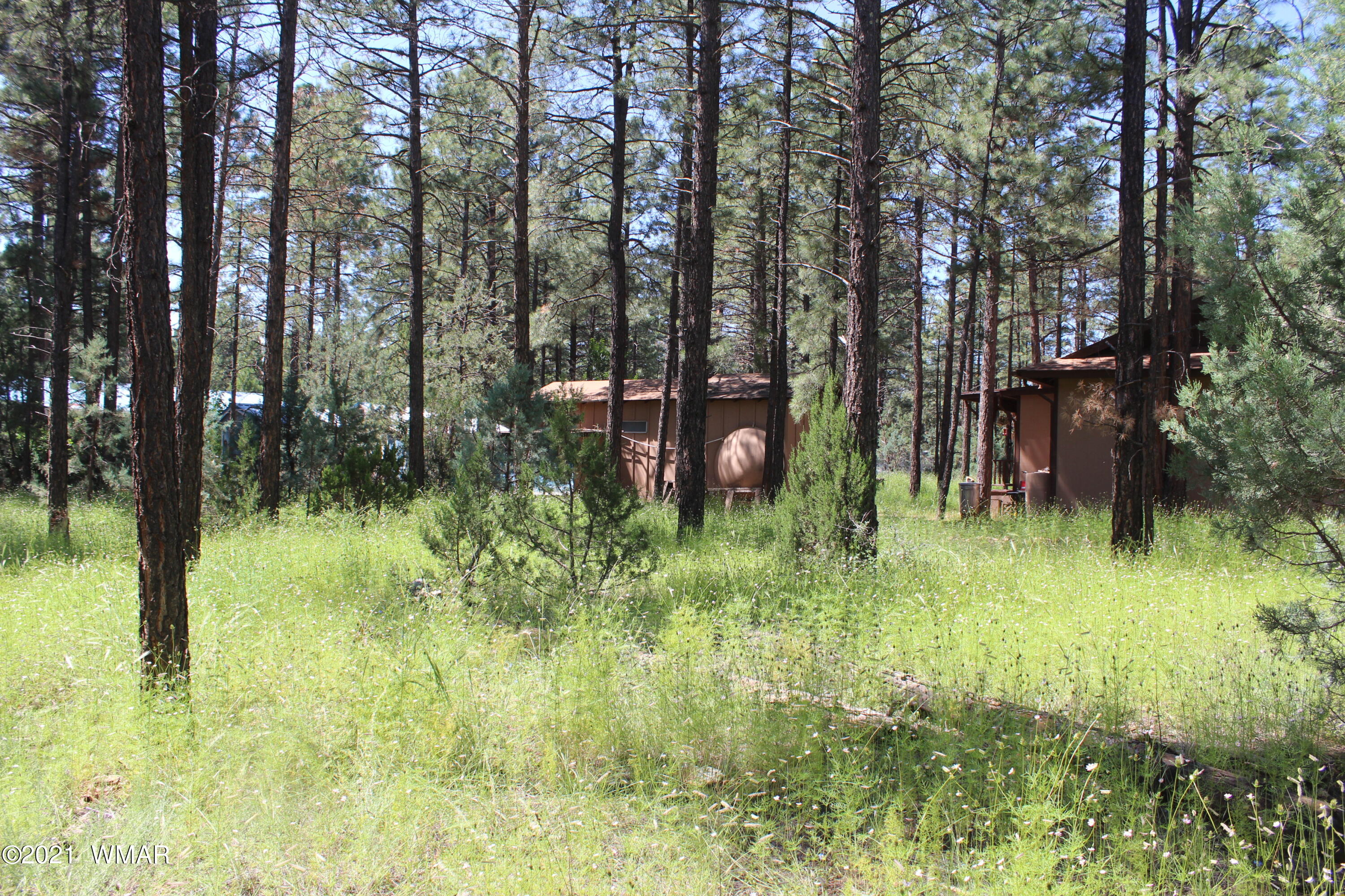 2159 Wildflower Road Overgaard, AZ 85933 - Photo 9 of 30 a backyard of a house with lots of green space and fountain