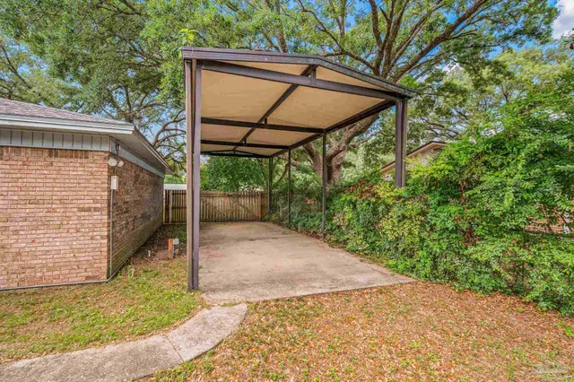 a view of a backyard with a tree
