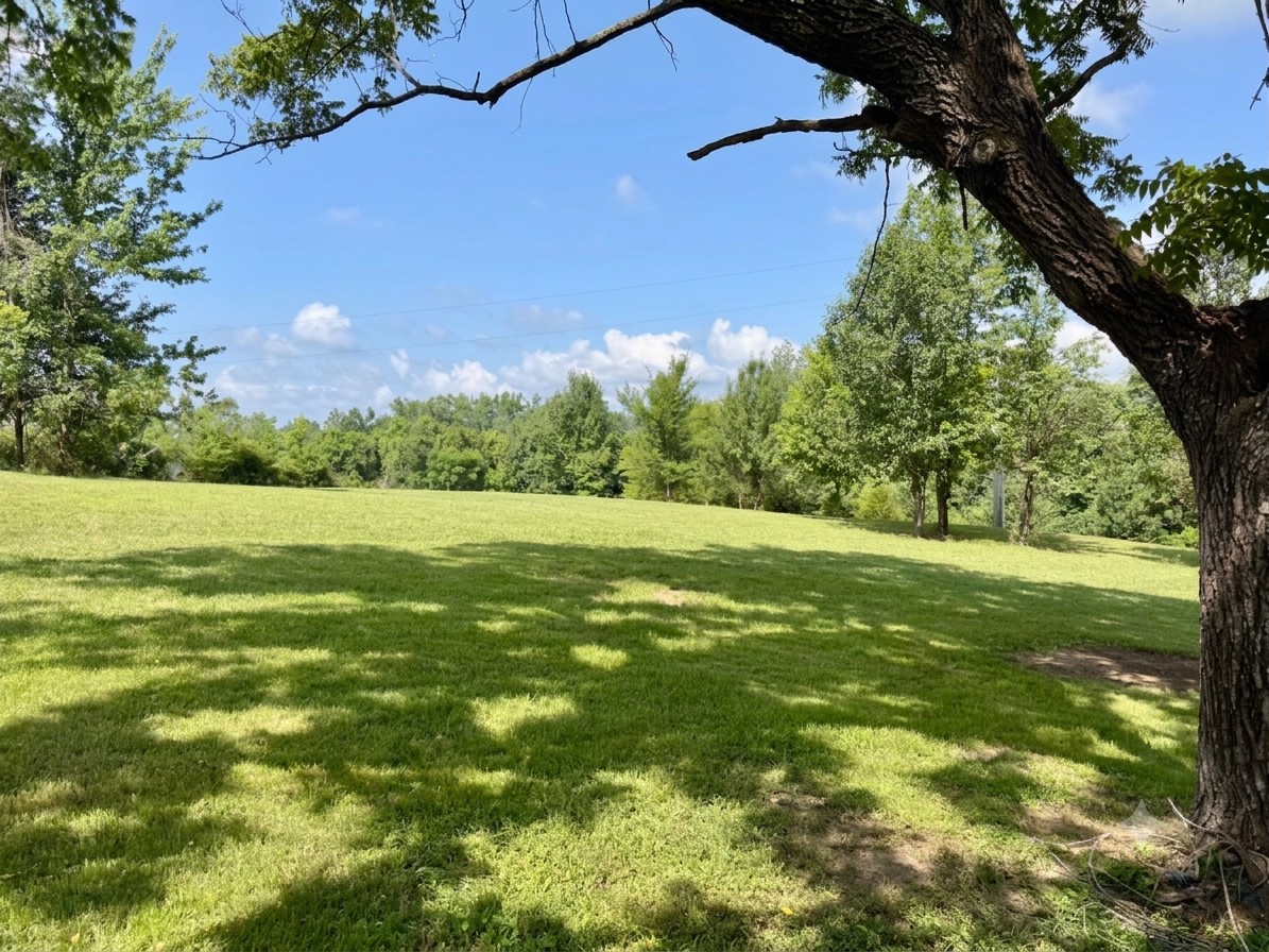 1624 Rock Bridge Road Bethpage, TN 37022 - Photo 20 of 23