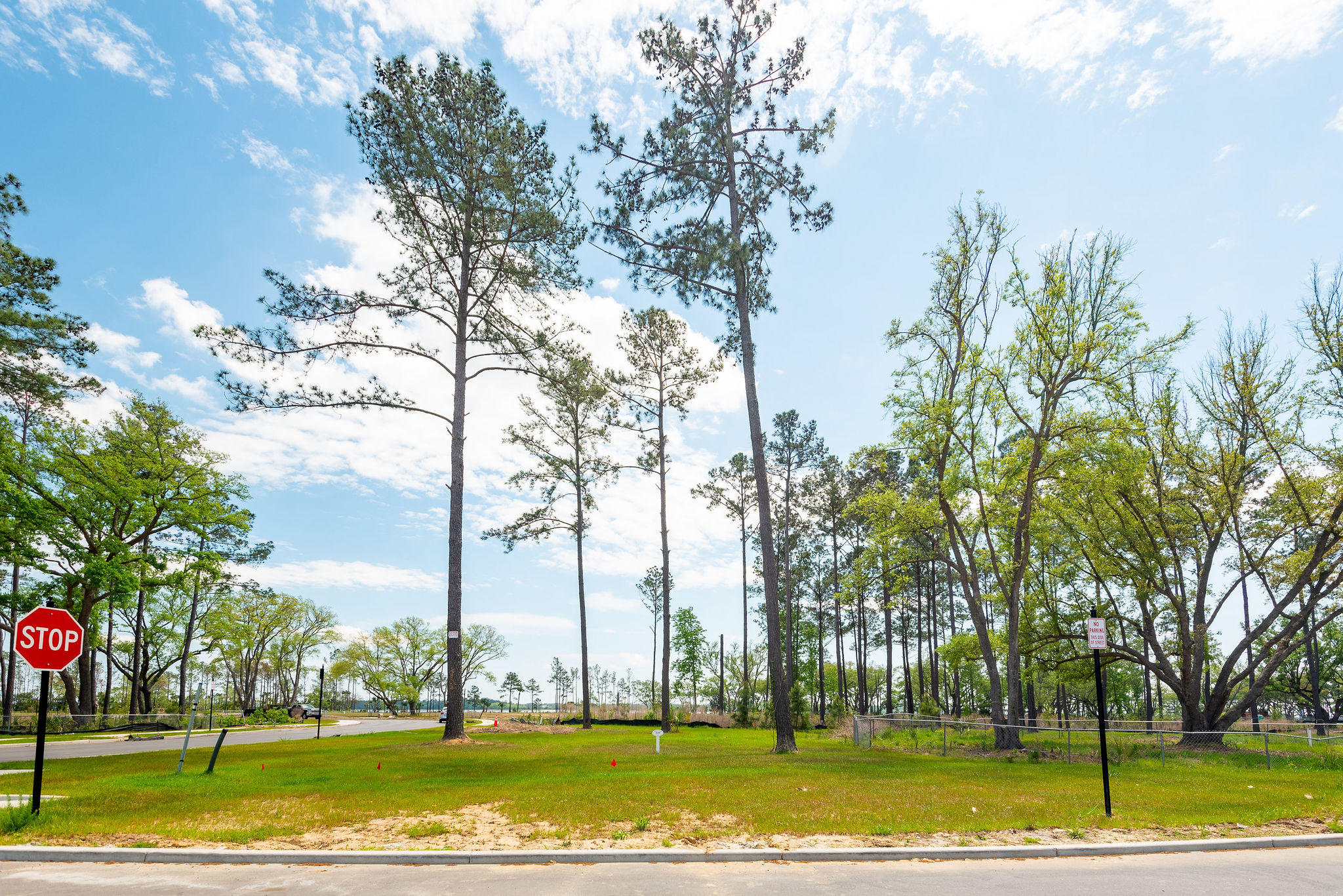228 Captain Goddard Road Charleston, SC 29492 - Photo 3 of 4 229CaptainGoddardRoad-KeenEyeMarketing-6