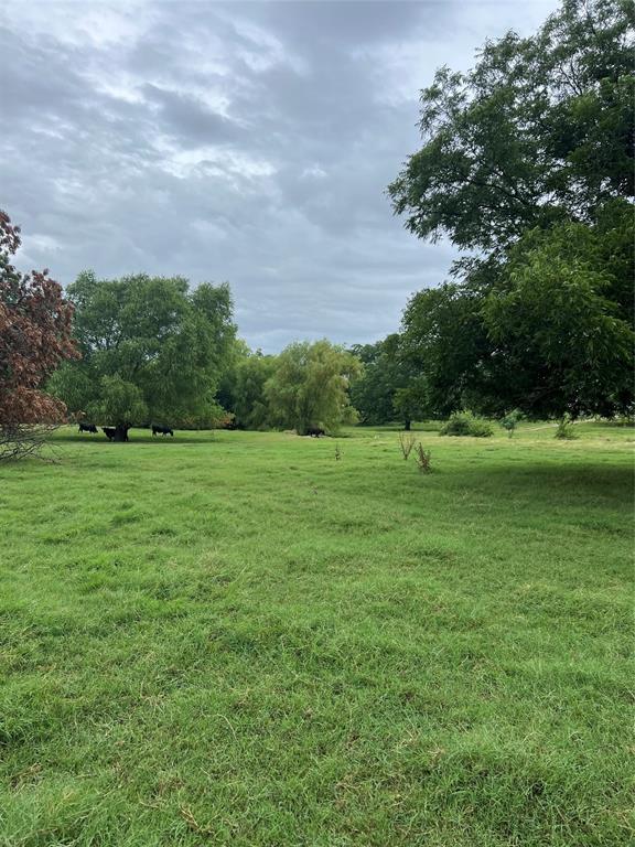 Tbd Abel Lane Boyd, TX 76023 - Photo 3 of 4 a view of a grassy field with trees
