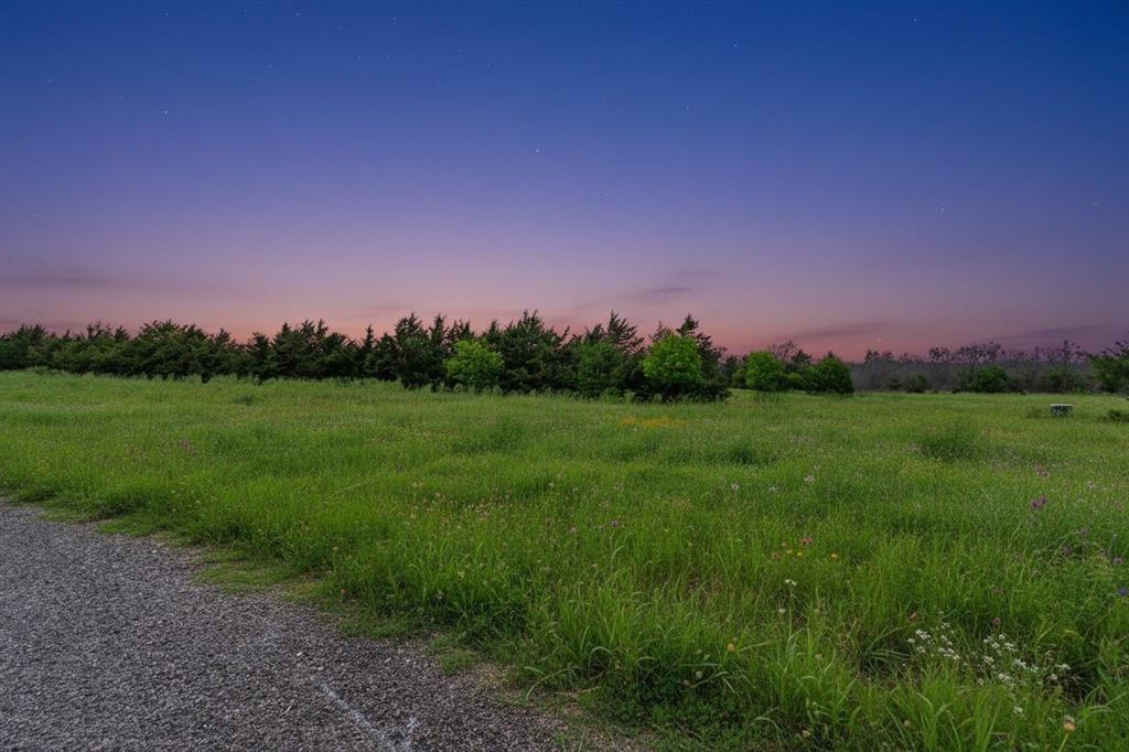 2810 Maple Road Celeste, TX 75423 - Photo 4 of 10 a view of a grassy field with trees