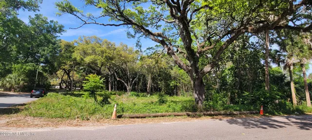 a view of backyard space