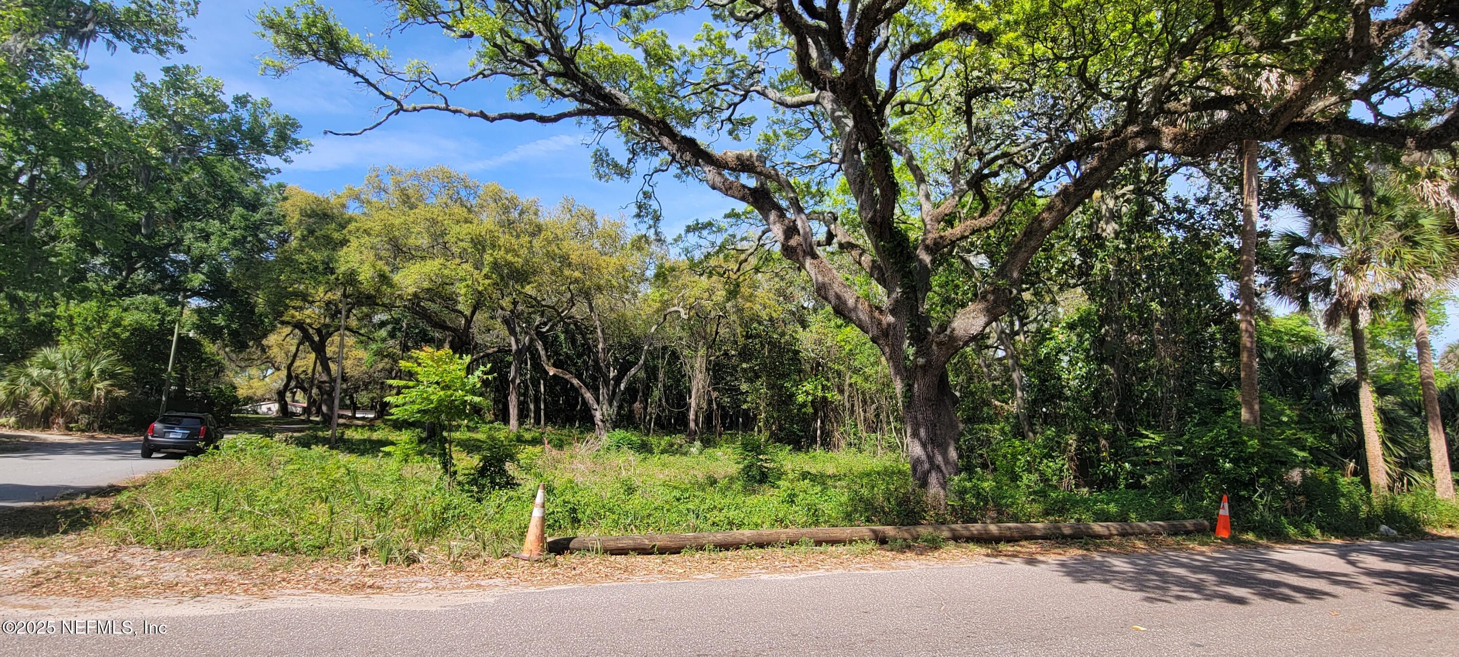 a view of backyard space