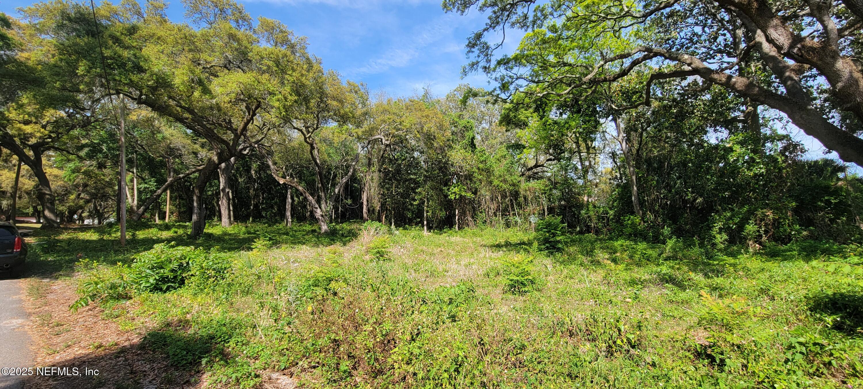 0 Apollo Avenue Jacksonville, FL 32226 - Photo 3 of 7 a backyard of a house with lots of green space