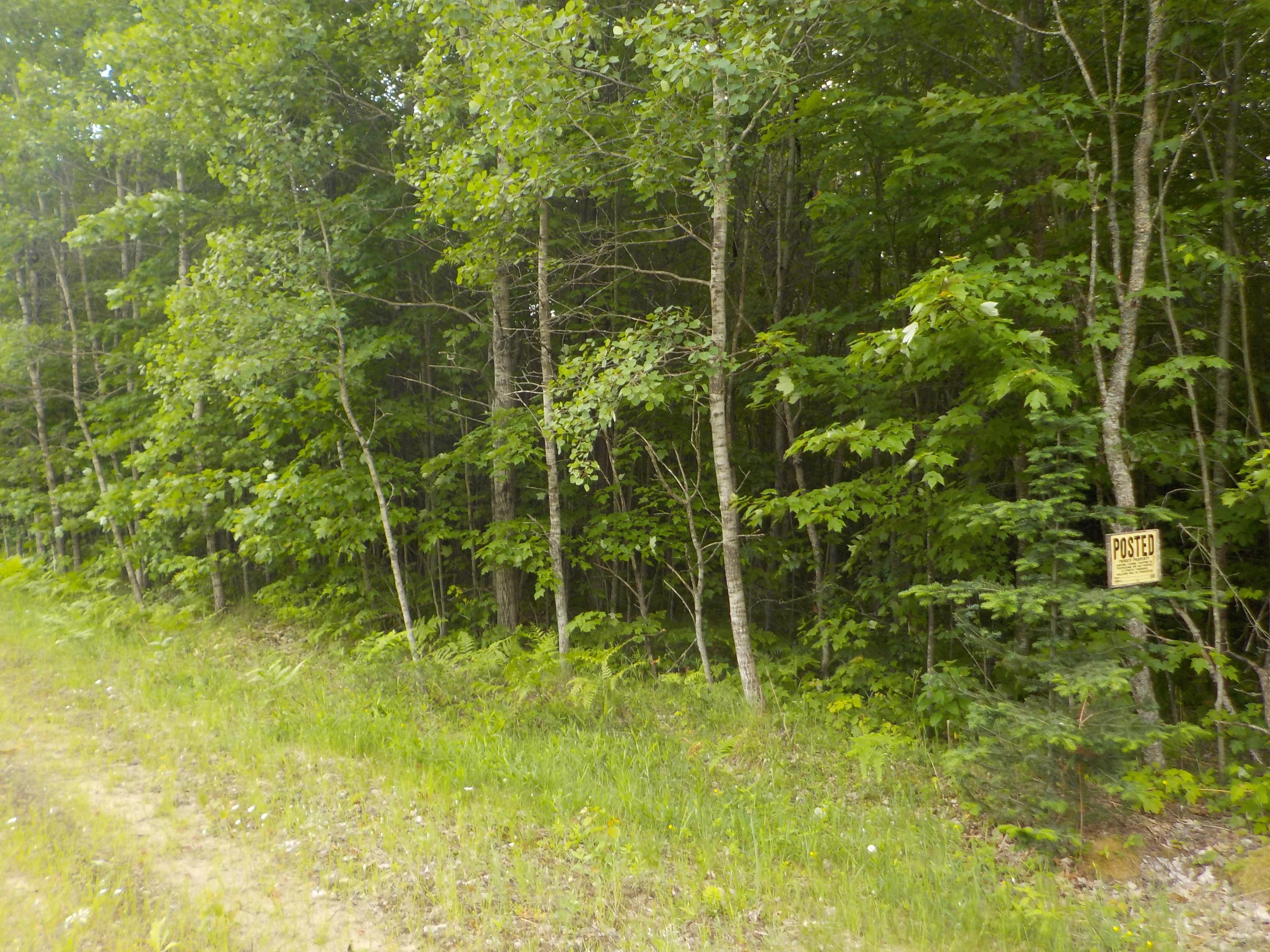 0 Goetsche Grayling, MI 49738 - Photo 1 of 13 Gallery Image 1