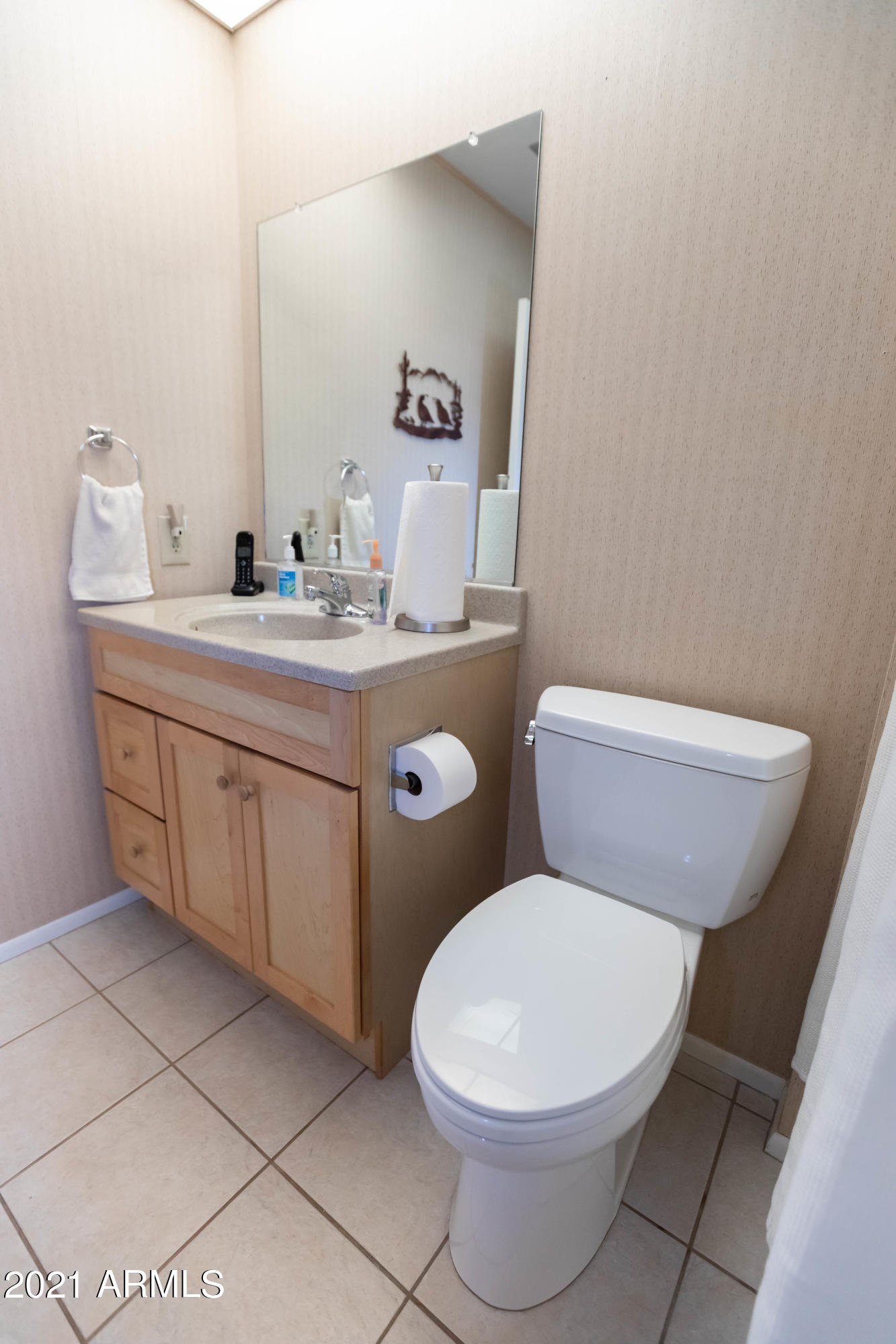 10207 West Royal Oak Road Sun City, AZ 85351 - Photo 30 of 38 second bathroom 2